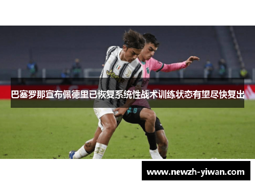 巴塞罗那宣布佩德里已恢复系统性战术训练状态有望尽快复出 巴塞罗那宣布佩德里已恢复系统性战术训练状态有望尽快复出